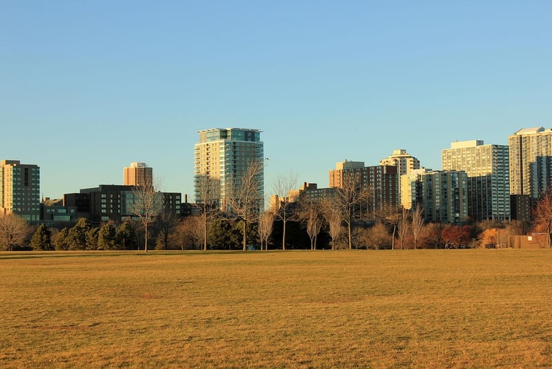 City park promoting biodiversity